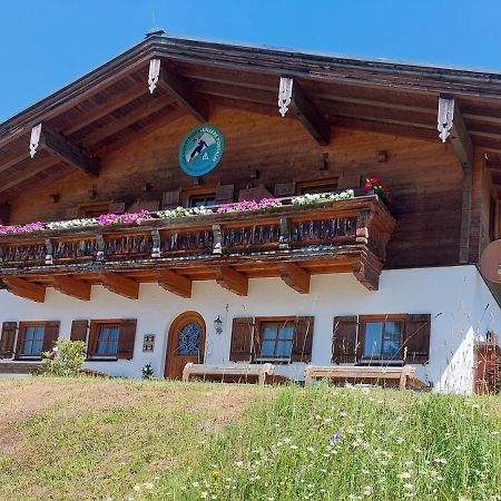 Haus Obweg - Postalm Aparthotel Hallein Εξωτερικό φωτογραφία