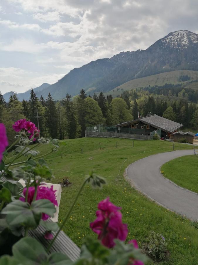 Haus Obweg - Postalm Aparthotel Hallein Εξωτερικό φωτογραφία