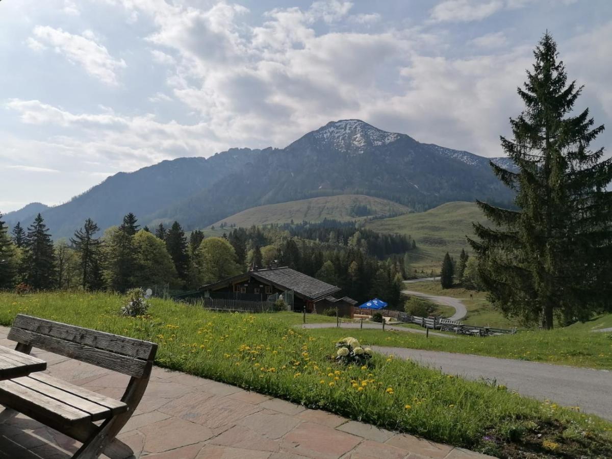 Haus Obweg - Postalm Aparthotel Hallein Εξωτερικό φωτογραφία