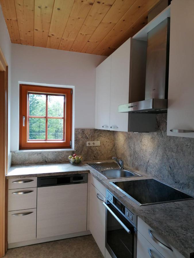 Haus Obweg - Postalm Aparthotel Hallein Εξωτερικό φωτογραφία