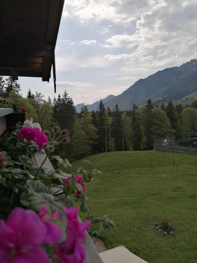 Haus Obweg - Postalm Aparthotel Hallein Εξωτερικό φωτογραφία